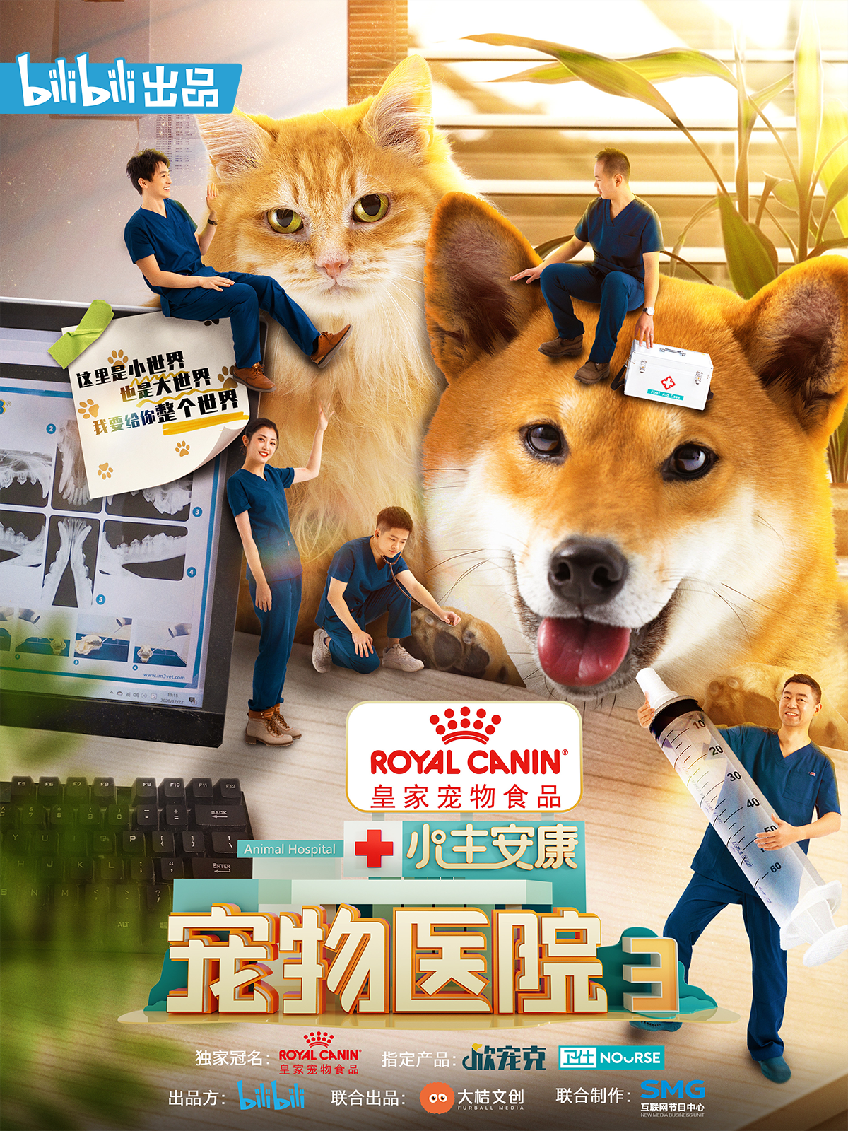 小主安康-宠物医院3封面图