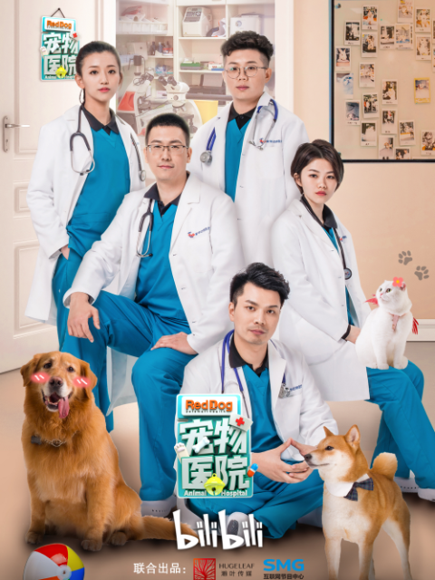 宠物医院封面图