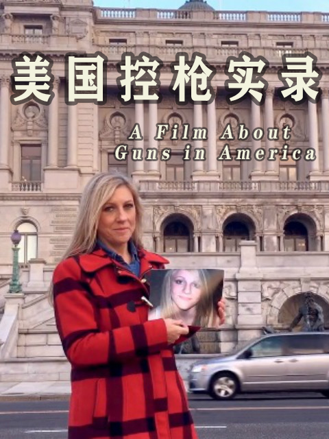 美国控枪实录封面图
