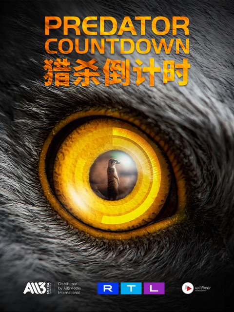 猎杀倒计时封面图