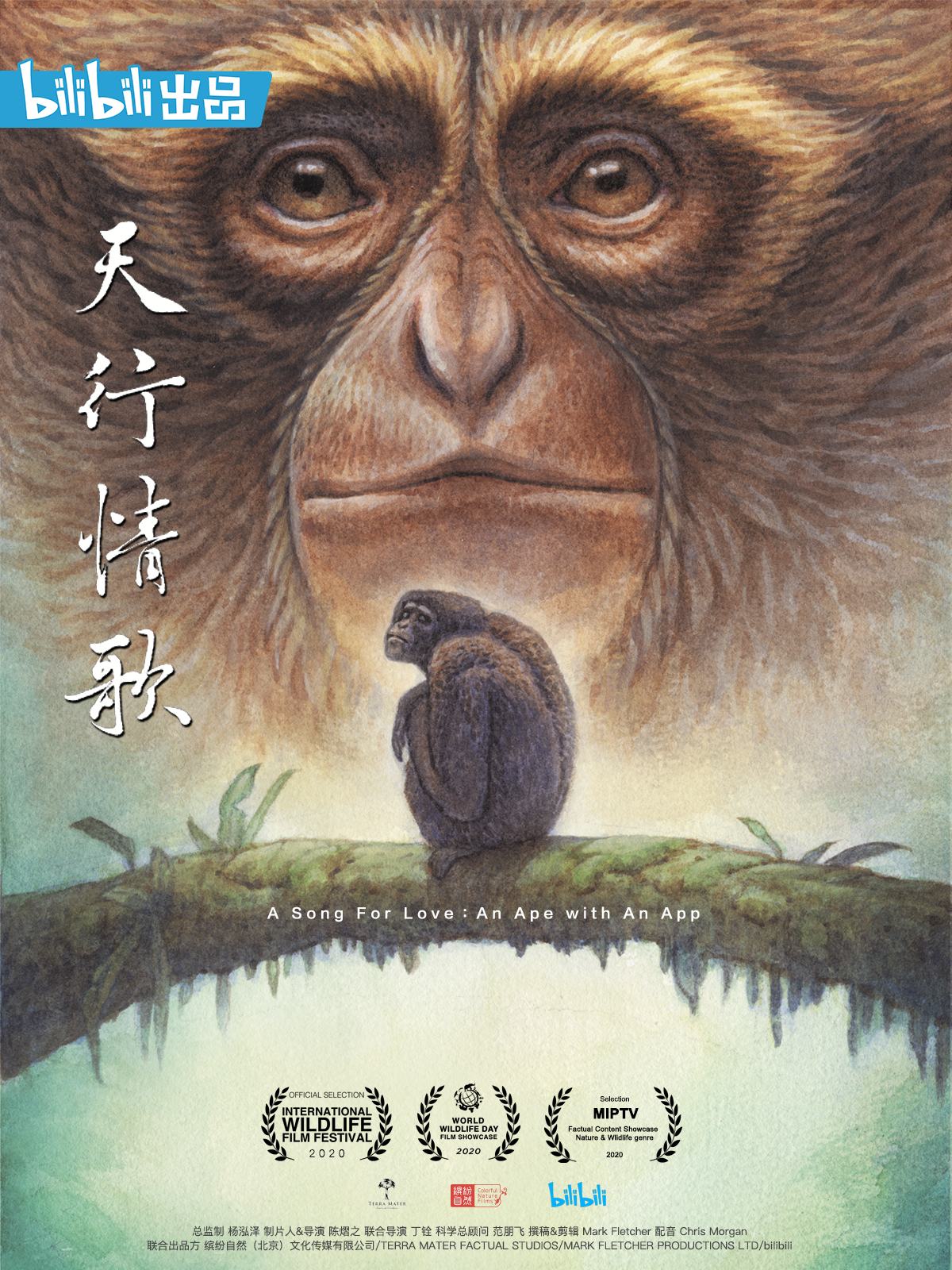 天行情歌封面图