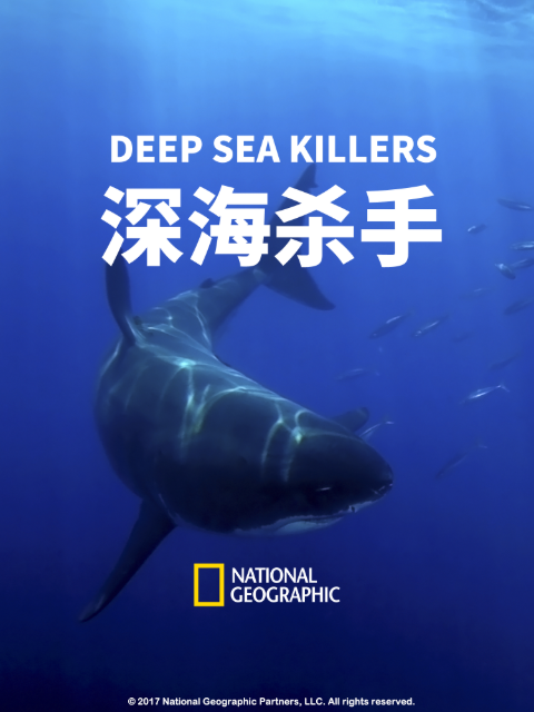 深海杀手封面图