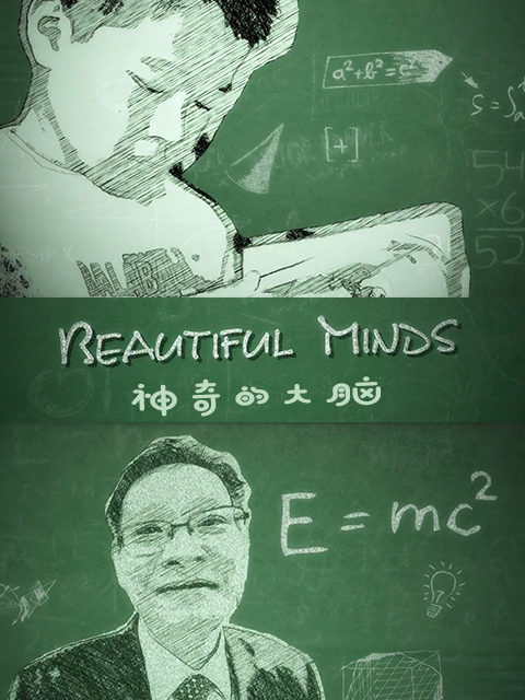 神奇的大脑封面图