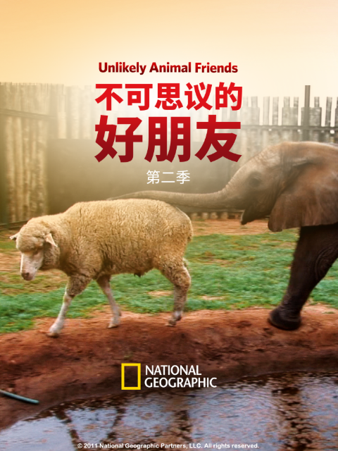 不可思议的好朋友 第二季封面图