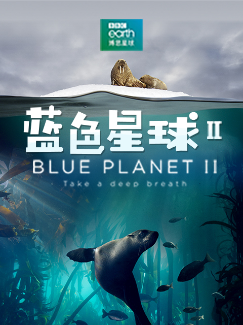 蓝色星球 第二季封面图