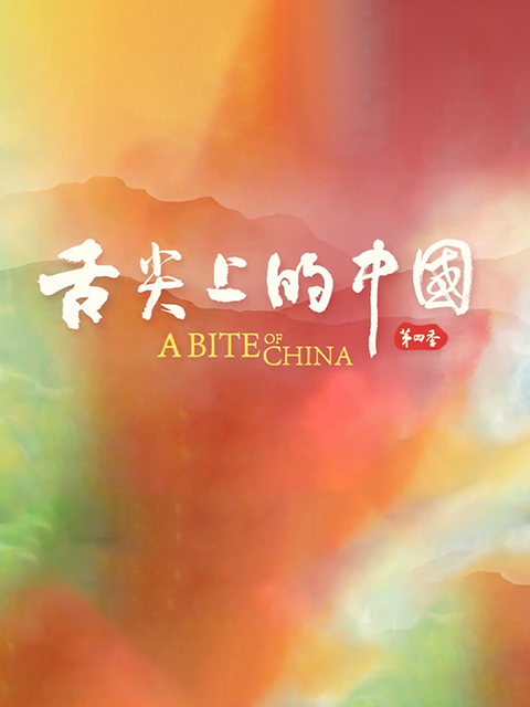 舌尖上的中国4封面图