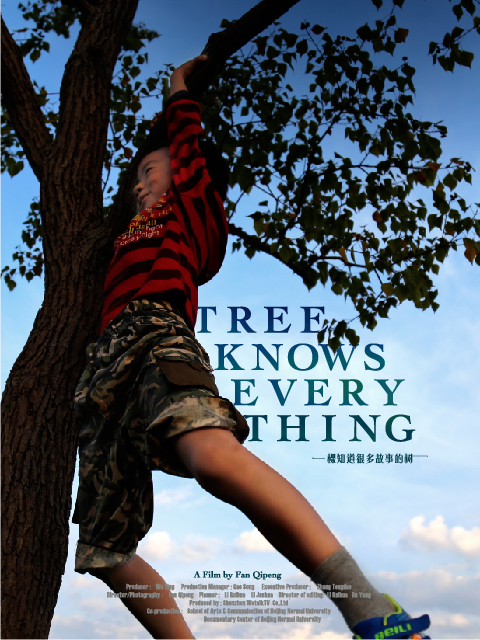 一棵知道很多故事的树封面图