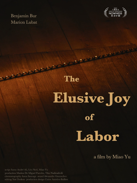 难以捉摸的劳动快乐封面图