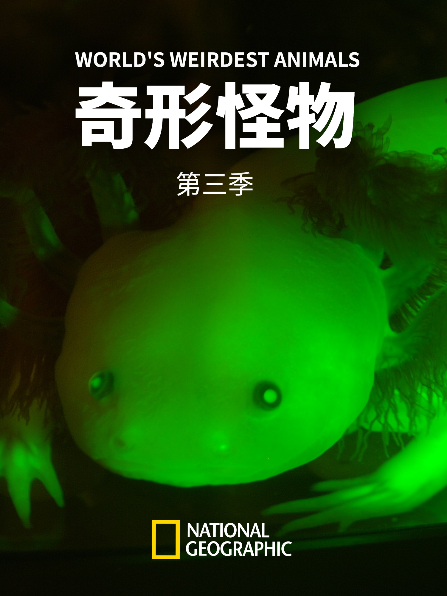 奇形怪物 第三季封面图