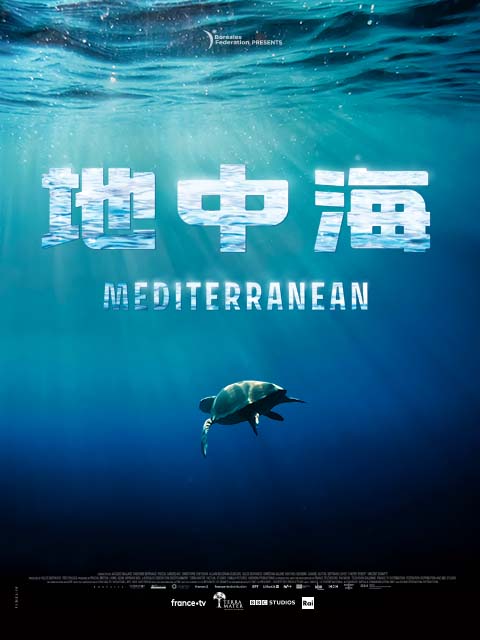 地中海封面图