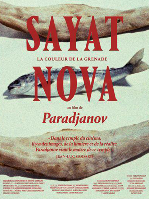 石榴的颜色封面图