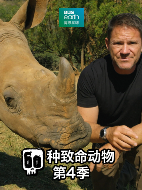 60种致命动物 第四季封面图