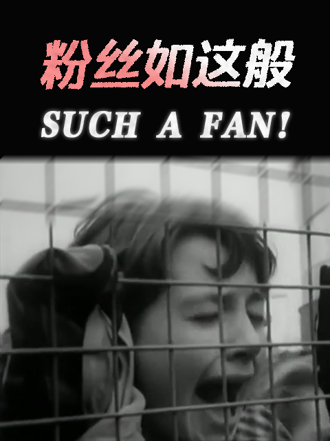 粉丝如这般封面图