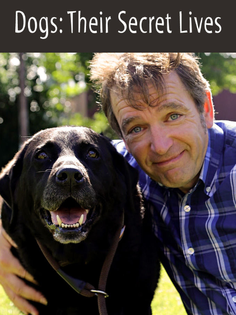 狗狗密录封面图