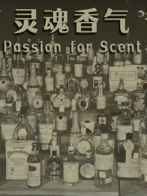 灵魂香气封面图