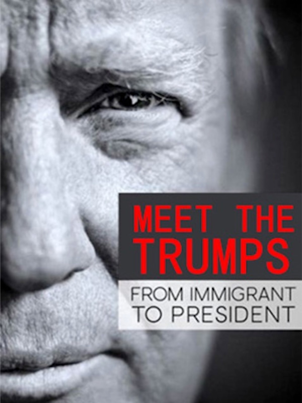 认识特朗普家族：从移民到总统封面图