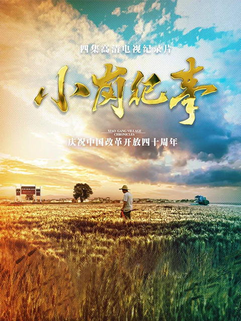 小岗纪事封面图
