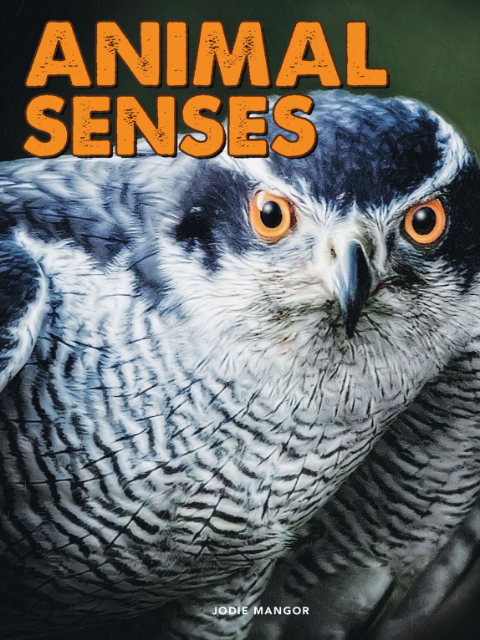 动物感官封面图