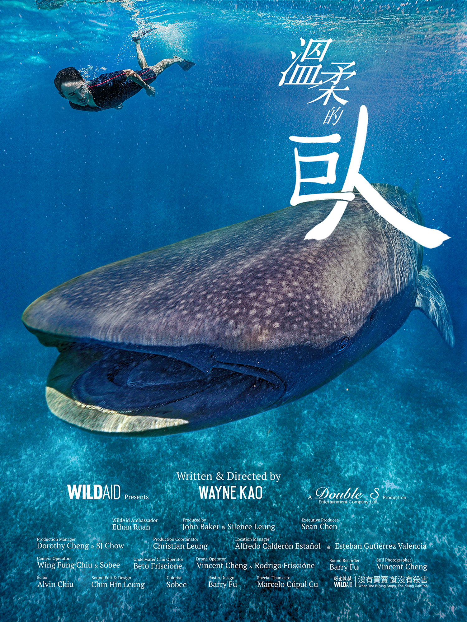 温柔的巨人封面图