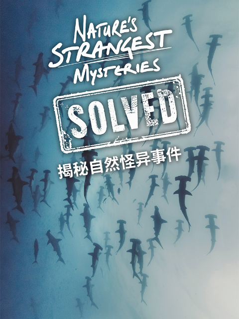 揭秘自然怪异事件封面图
