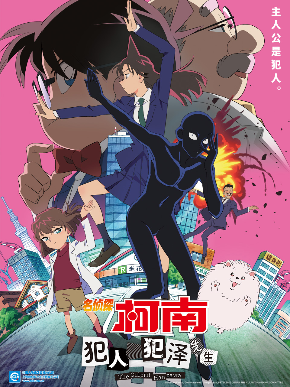名侦探柯南：犯人犯泽先生（中配）封面图