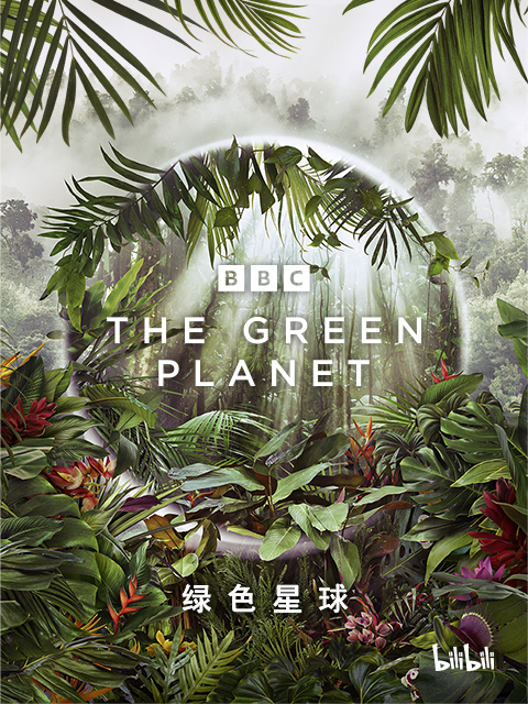 绿色星球封面图