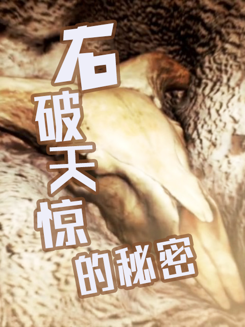 石破天惊的秘密封面图