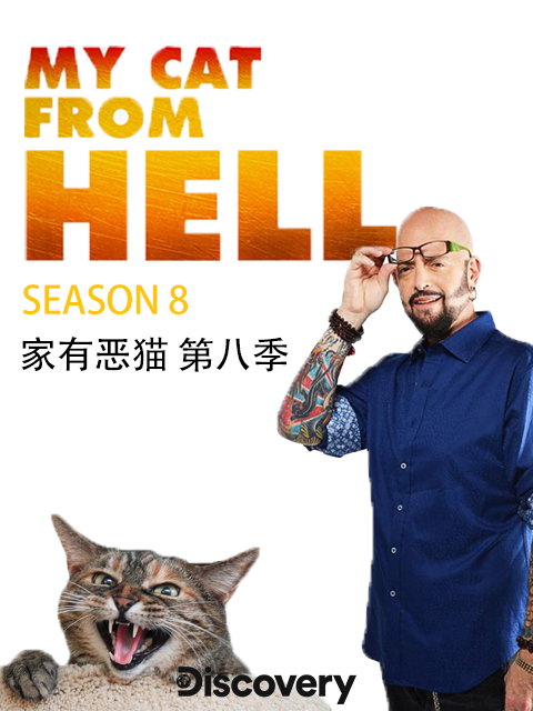 家有恶猫 第八季封面图