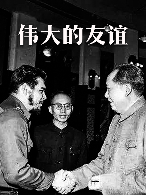 伟大的友谊封面图