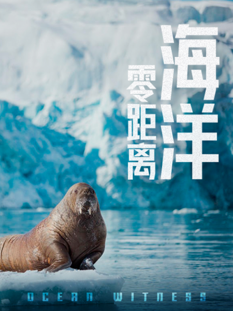 海洋零距离封面图