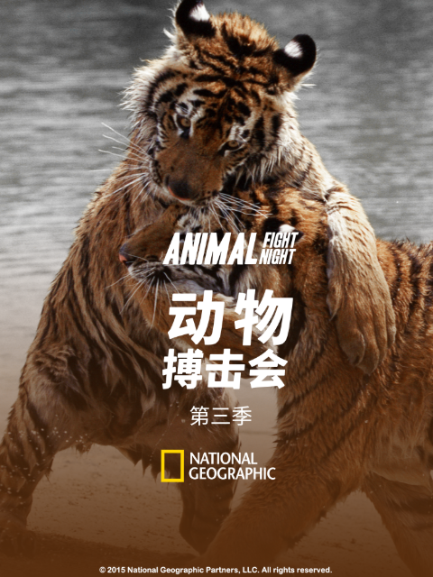 动物搏击会 第三季封面图