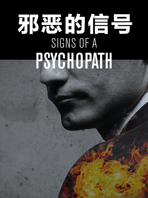 邪恶的信号封面图