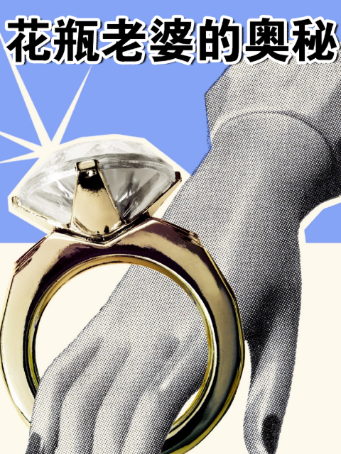 花瓶老婆的奥秘封面图