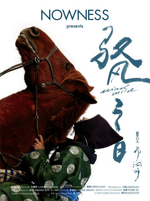 新掌门—驭风之日封面图