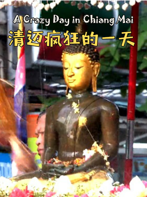 清迈疯狂的一天封面图