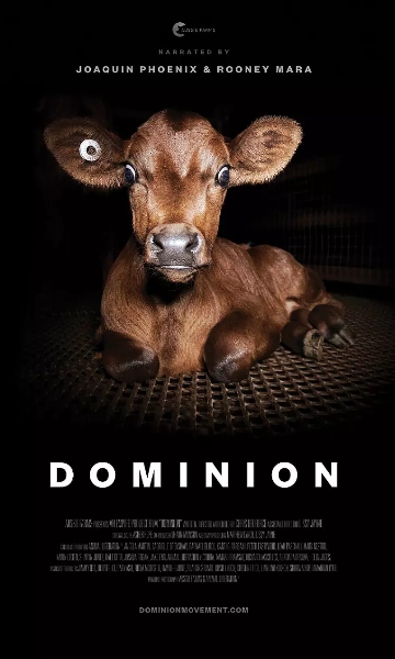 统治第一季封面图