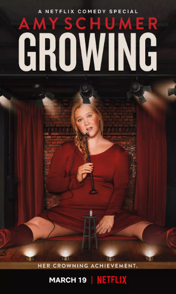 艾米·舒默：长大当妈封面图