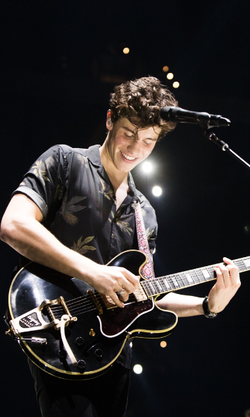 Shawn Mendes全新纪录片第一季封面图