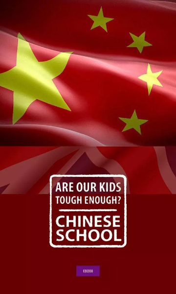 中国老师来了封面图