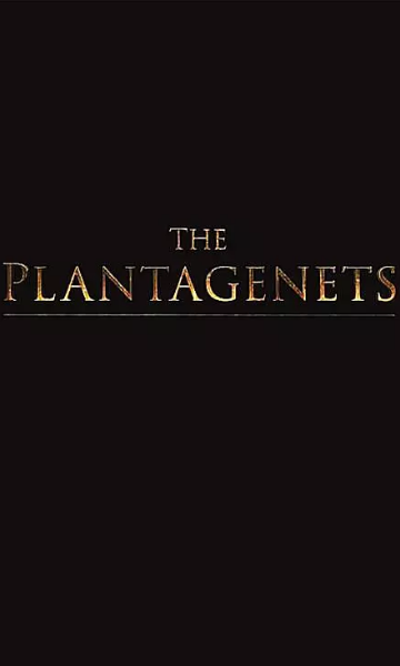 金雀花王朝封面图