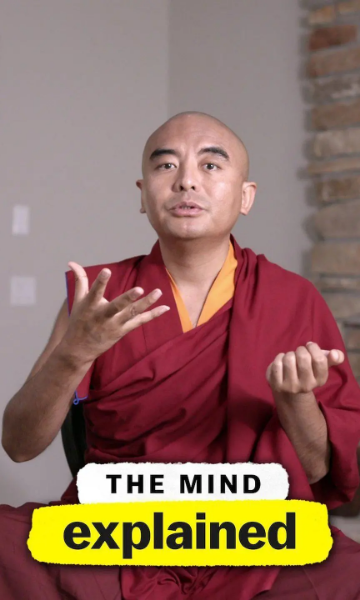 头脑解密封面图