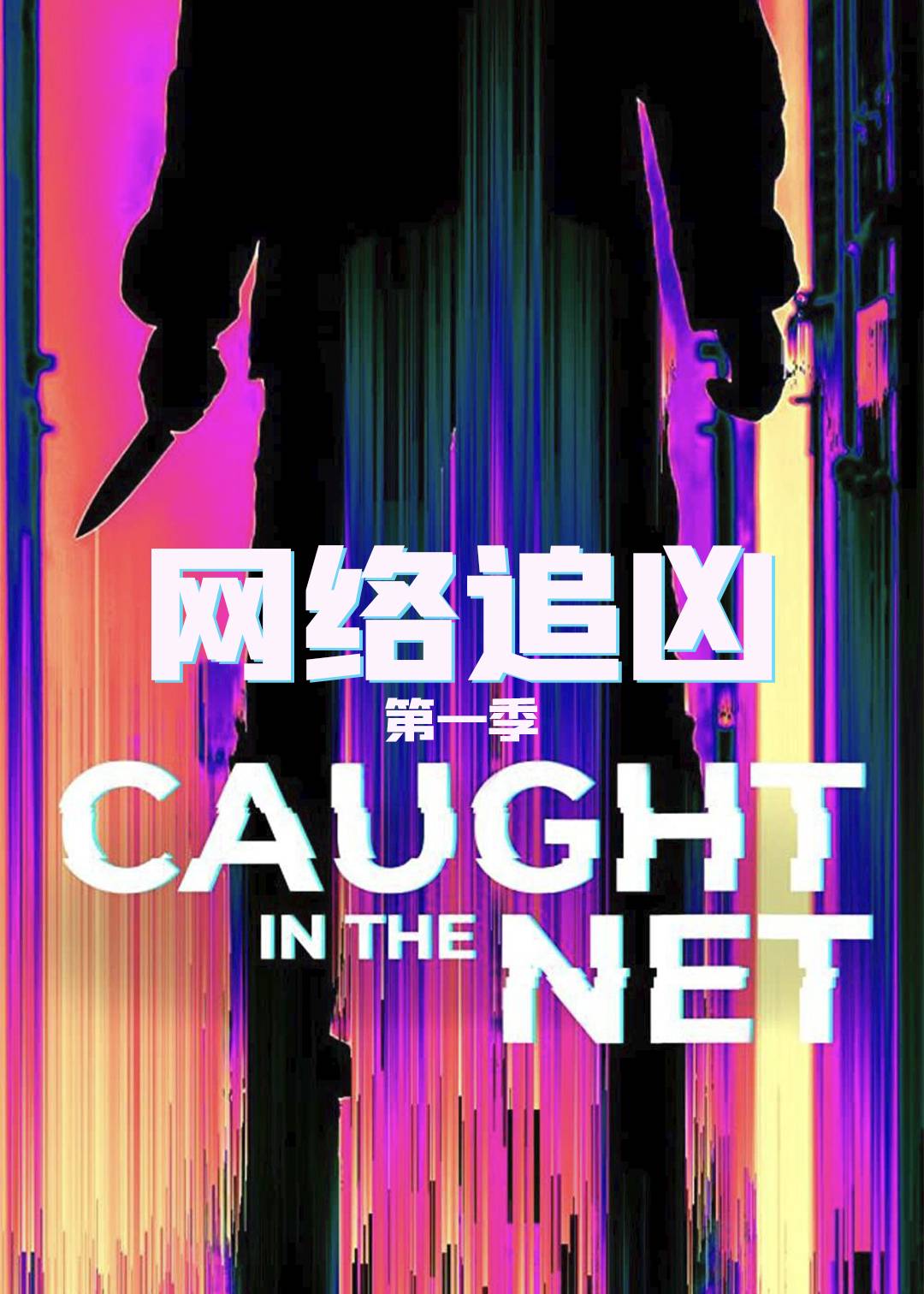 网络追凶第一季封面图