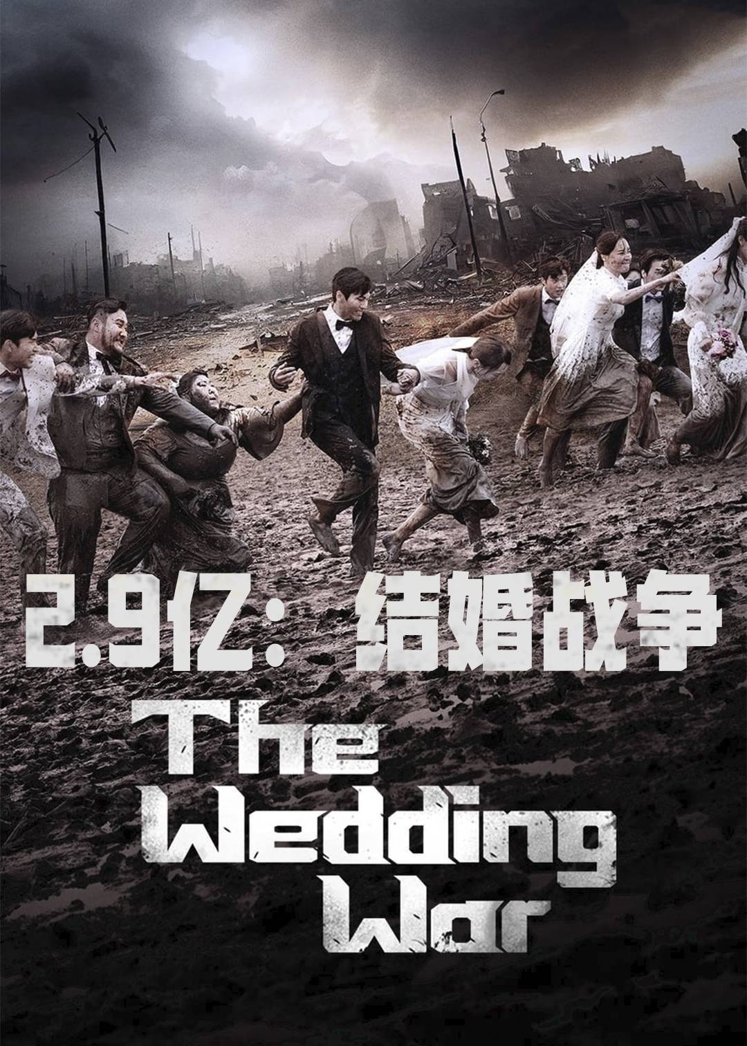 2:9亿:结婚战争封面图