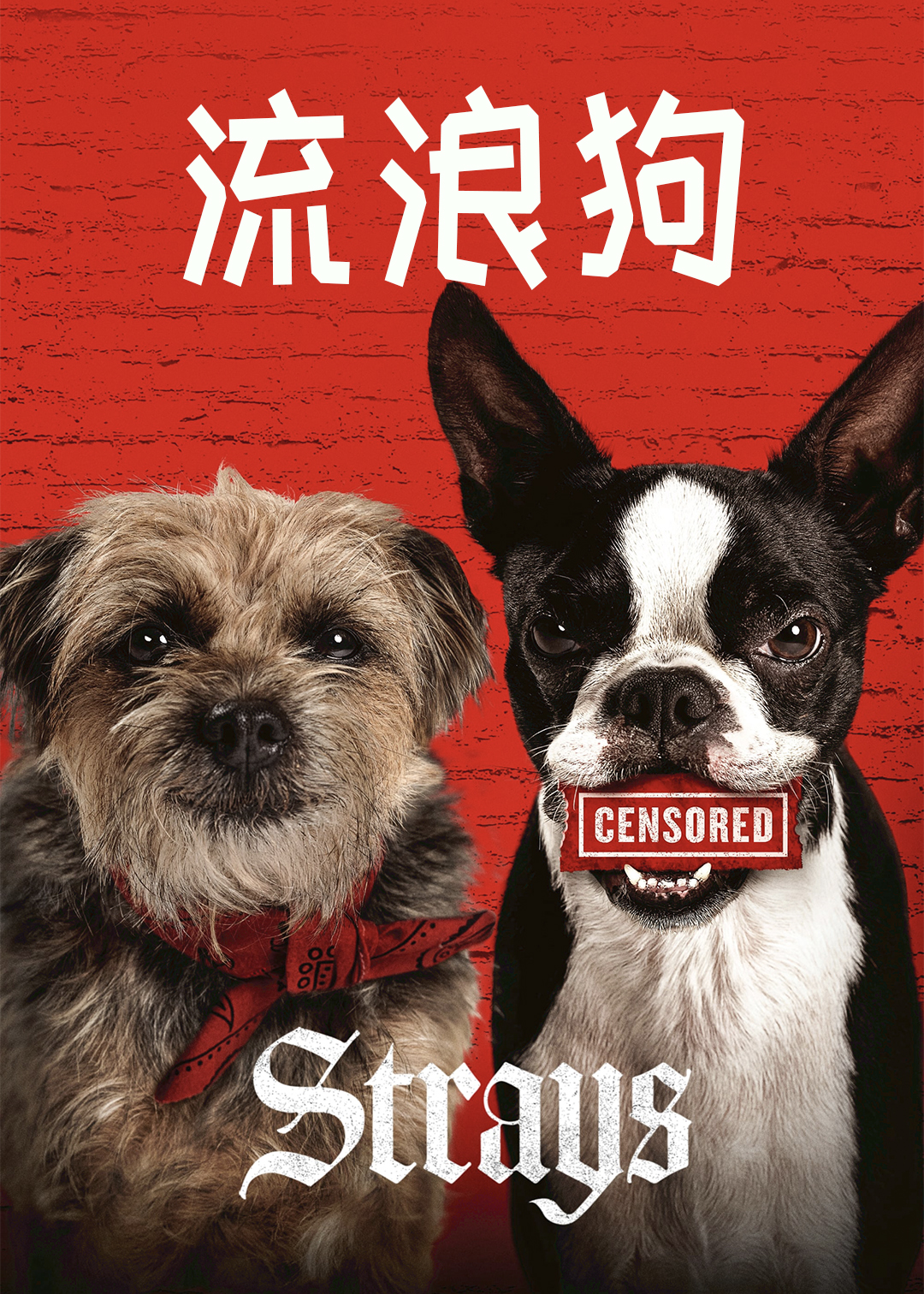 复仇狗联盟封面图