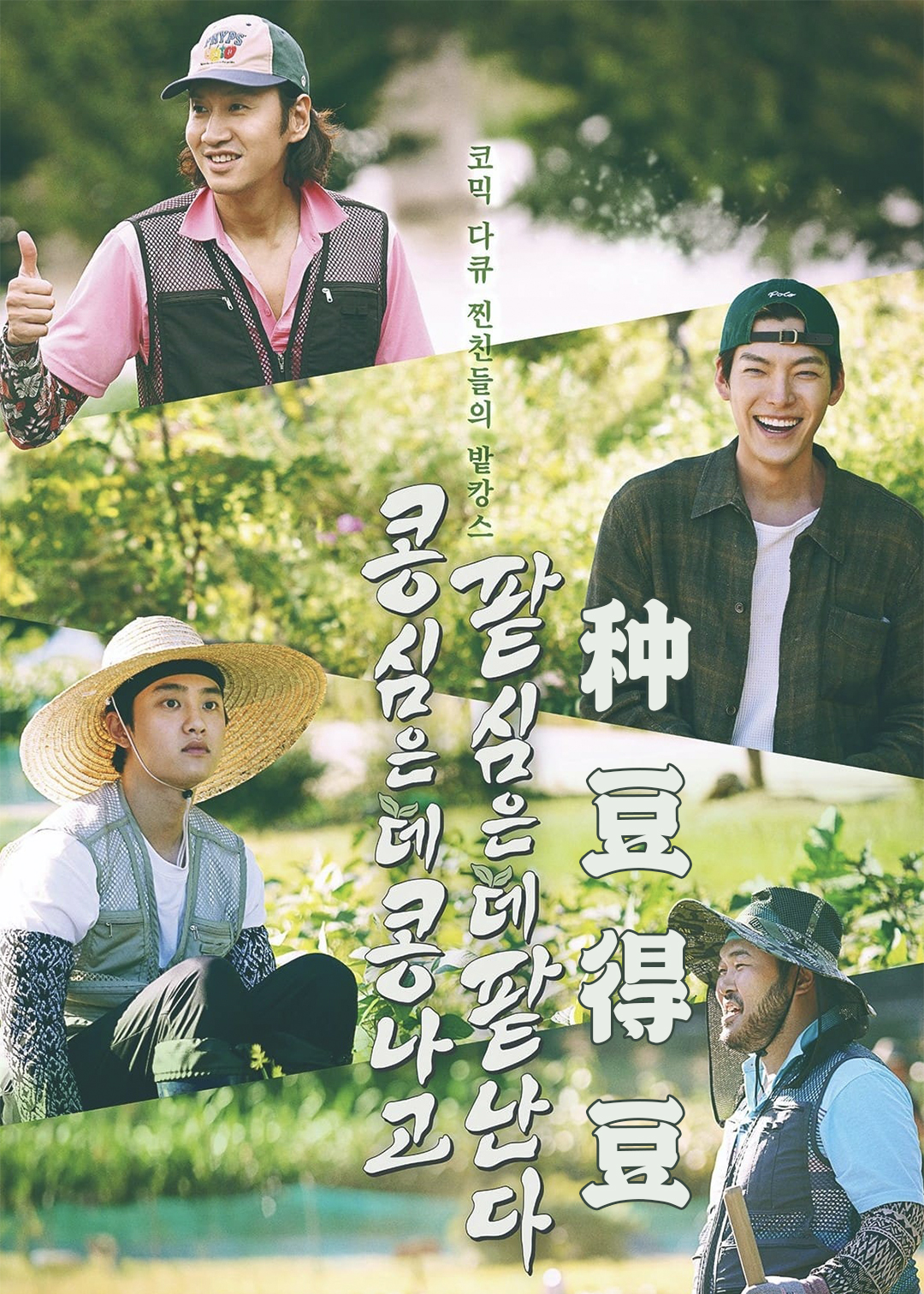 种豆得豆封面图