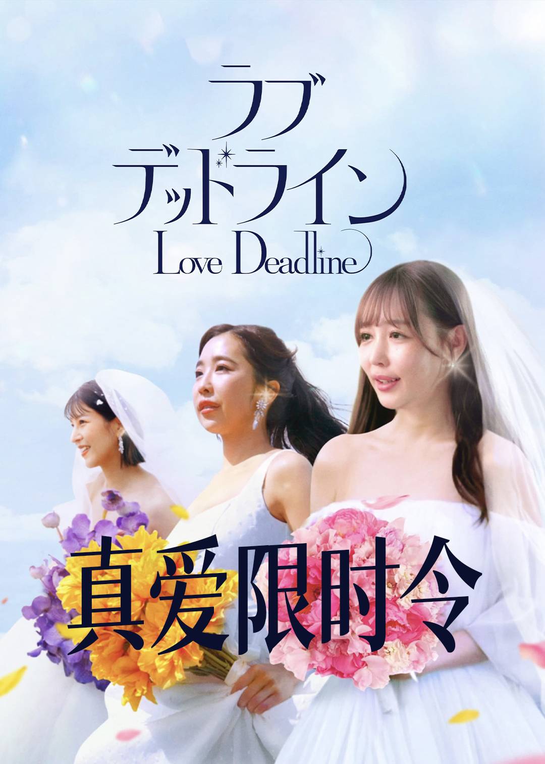 真爱限时令封面图