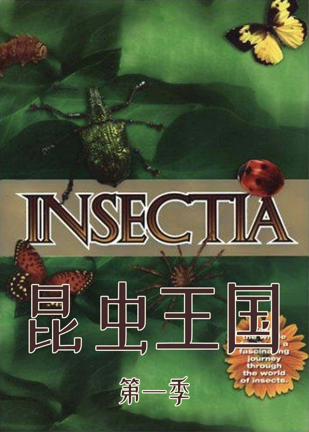 昆虫王国第一季封面图