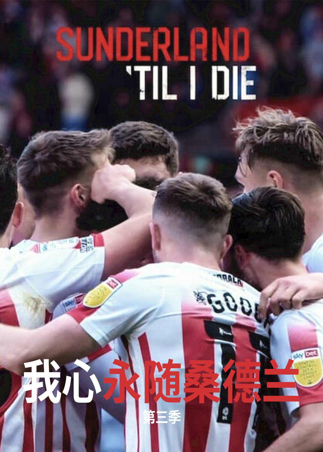我心永随桑德兰第三季封面图