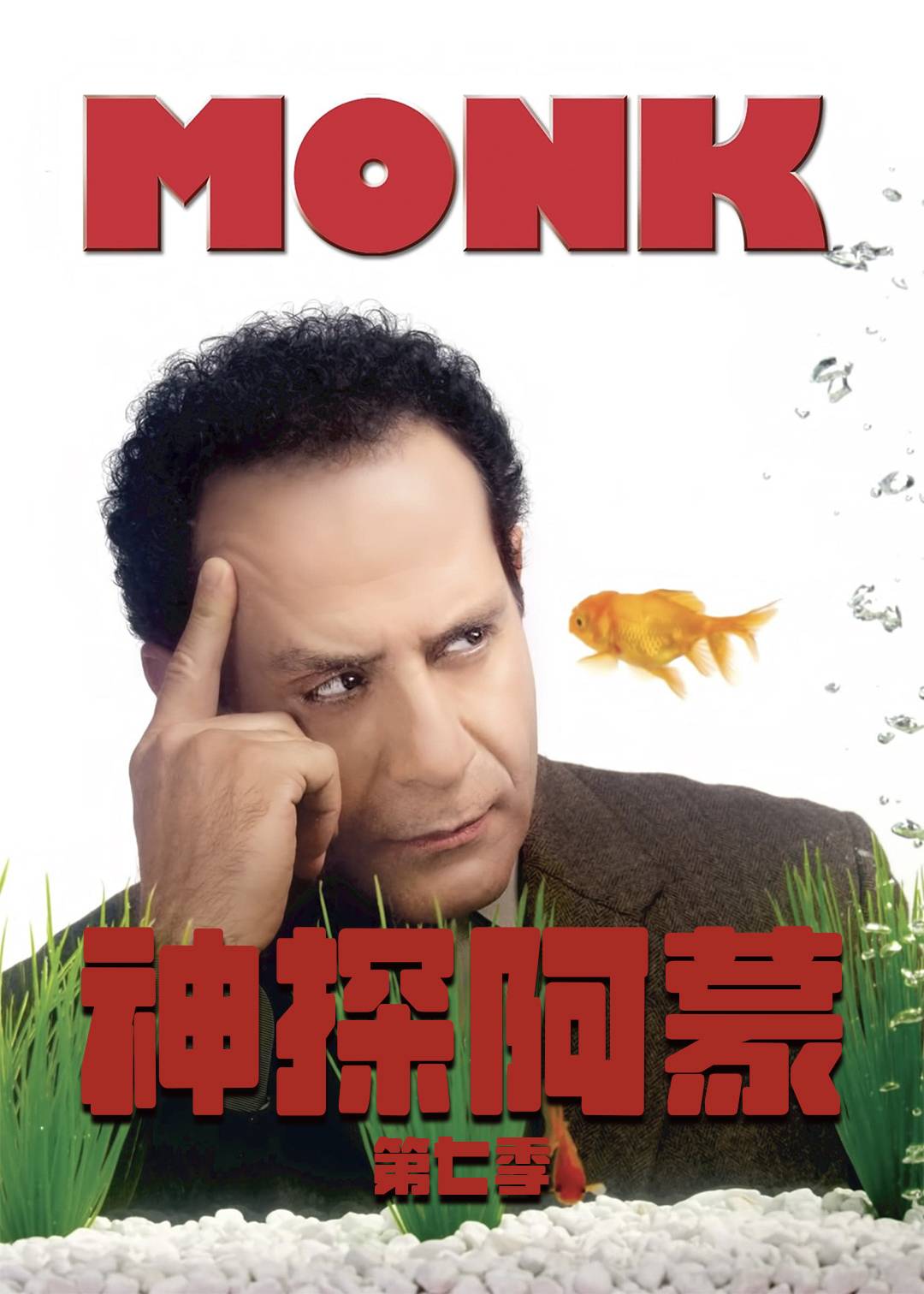 神探阿蒙 第七季封面图