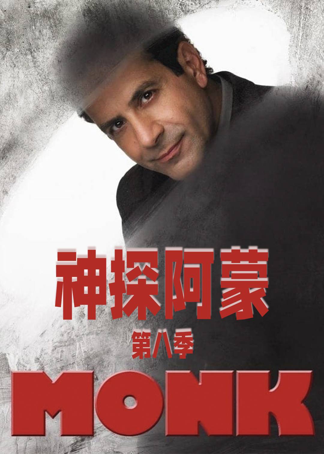 神探阿蒙 第八季封面图